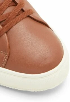 Aldo COBI - Sneaker Low - Dark Beige 10 Aldo COBI - Sneaker Low - Dark Beige -Aldo Verkaufsgeschäft 5c01a2f7f1bd4149afab469b6f8af38f